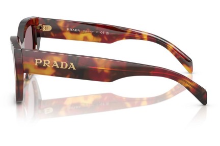 Solbriller Prada PRA09S 22A20I Cat Eye Havana