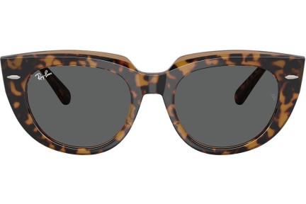 Solbriller Ray-Ban RB2286 1292B1 Firkantet Havana