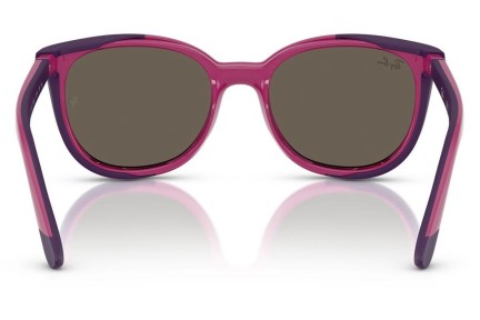 Briller Ray-Ban Junior RY1631C 3933/3 Rund Lilla