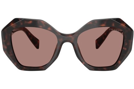 Solbriller Prada PR16WS 17N60B Special Havana