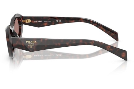 Solbriller Prada PR26ZS 17N60B Oval Havana