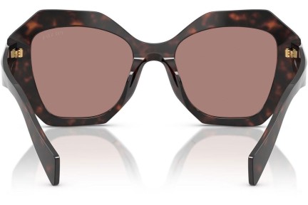 Solbriller Prada PR16WS 17N60B Special Havana