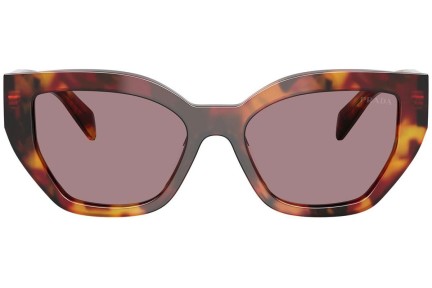 Solbriller Prada PRA09S 22A20I Cat Eye Havana