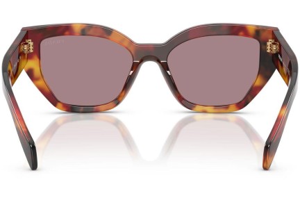 Solbriller Prada PRA09S 22A20I Cat Eye Havana