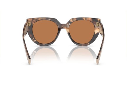 Solbriller Prada PR14WS 01R2Z1 Cat Eye Havana