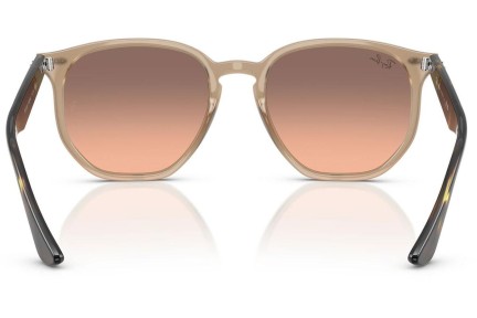 Solbriller Ray-Ban RB4306 678846 Firkantet Beige