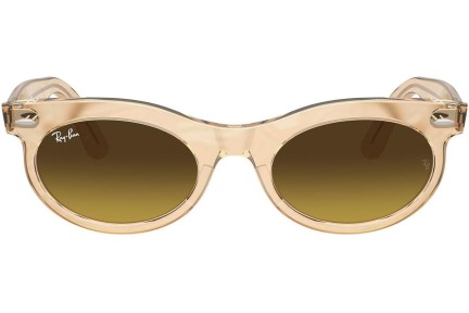 Solbriller Ray-Ban RB2242 138685 Browline Brun