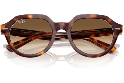 Solbriller Ray-Ban Gina RB4399 141451 Firkantet Havana