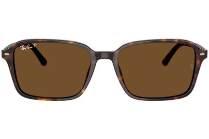 Solbriller Ray-Ban RB2231 902/57 Polarized Firkantet Havana