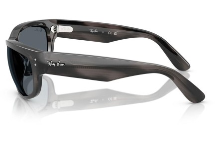 Solbriller Ray-Ban RB2289 1404R5 Rektangulær Grå