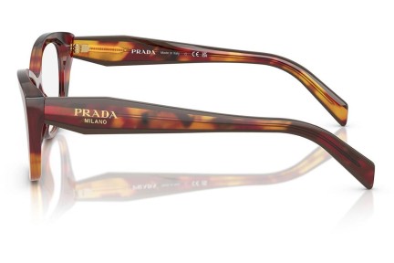 Briller Prada PR19WV 22A1O1 Cat Eye Havana