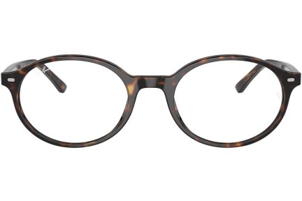 Briller Ray-Ban RX5429 2012 Oval Havana