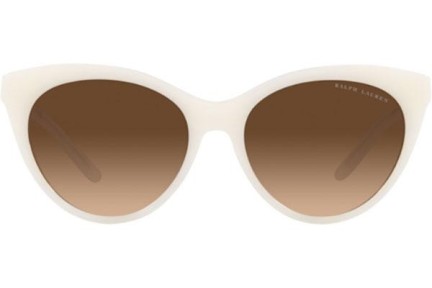 Solbriller Ralph Lauren RL8195B 599774 Cat Eye Grå