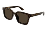 Solbriller Gucci GG1582SK 002 Firkantet Havana