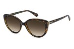 Solbriller Polaroid PLD4176/S/X 086/LA Polarized Cat Eye Havana