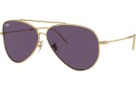 Ray-Ban Aviator Reverse RBR0101S 001/1A