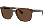 Solbriller Ray-Ban RB2213CH 902/AN Polarized Firkantet Havana