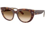 Solbriller Ray-Ban RB2286 141451 Firkantet Havana