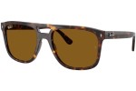 Solbriller Ray-Ban RB2213 902/33 Firkantet Havana