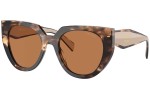 Solbriller Prada PR14WS 01R2Z1 Cat Eye Havana