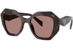 Solbriller Prada PR16WS 17N60B Special Havana