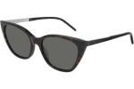 Solbriller Saint Laurent SLM69 002 Cat Eye Havana